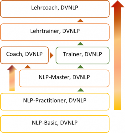 NLP Ausbildungswege DVNLP | tuma Seminare
